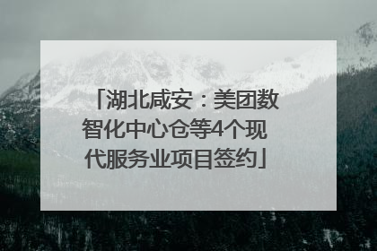 湖北咸安：美团数智化中心仓等4个现代服务业项目签约
