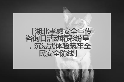 湖北孝感安全宣传咨询日活动精彩纷呈，沉浸式体验筑牢全民安全防线