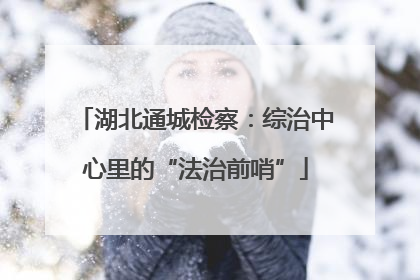 湖北通城检察：综治中心里的“法治前哨”