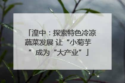 湟中：探索特色冷凉蔬菜发展 让“小菊芋”成为“大产业”