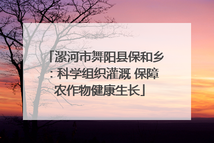 漯河市舞阳县保和乡：科学组织灌溉 保障农作物健康生长