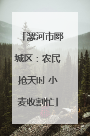 漯河市郾城区：农民抢天时 小麦收割忙