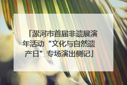 漯河市首届非遗展演年活动“文化与自然遗产日”专场演出侧记