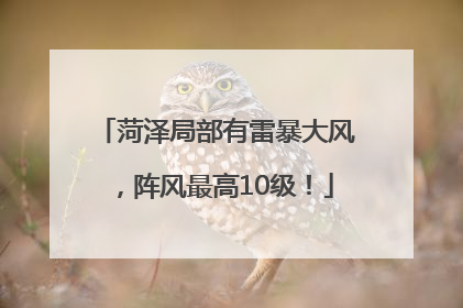 菏泽局部有雷暴大风，阵风最高10级！