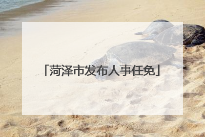 菏泽市发布人事任免