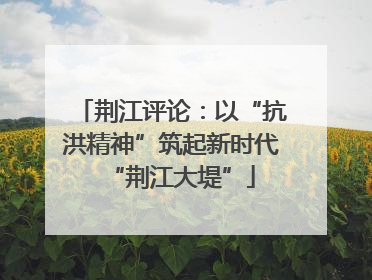 荆江评论：以“抗洪精神”筑起新时代“荆江大堤”