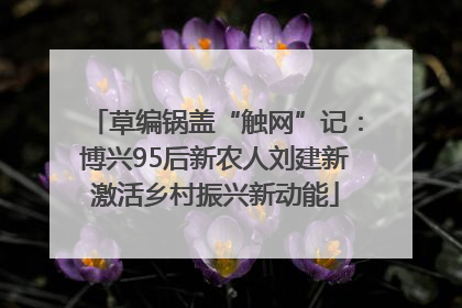 草编锅盖“触网”记：博兴95后新农人刘建新激活乡村振兴新动能