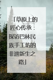 草原上的匠心传承：探访巴林民族手工坊的非遗新生之路