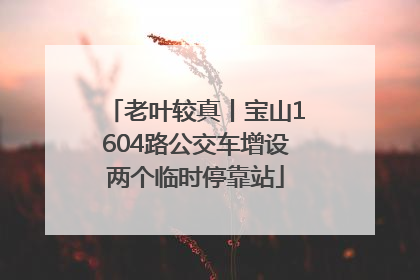 老叶较真丨宝山1604路公交车增设两个临时停靠站