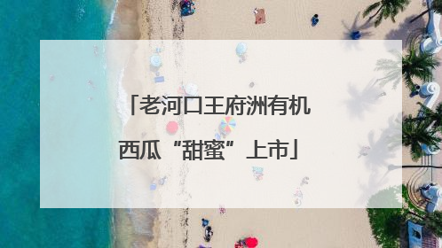老河口王府洲有机西瓜“甜蜜”上市