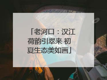 老河口：汉江荷韵引翠来 初夏生态美如画