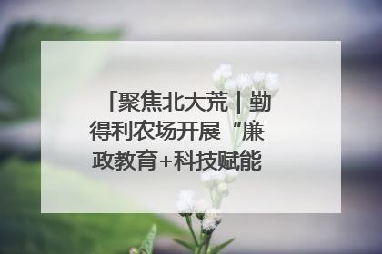 聚焦北大荒｜勤得利农场开展“廉政教育+科技赋能”主题党日活动