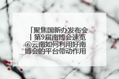 聚焦国新办发布会丨第9届南博会速览⑥云南如何利用好南博会的平台带动作用，深化与南亚国家的交流与合作？