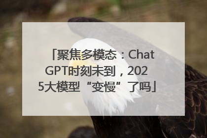 聚焦多模态：ChatGPT时刻未到，2025大模型“变慢”了吗
