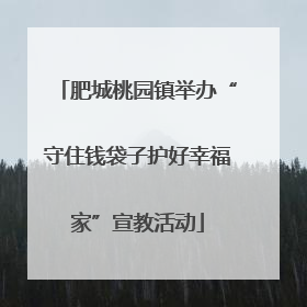 肥城桃园镇举办“守住钱袋子护好幸福家”宣教活动