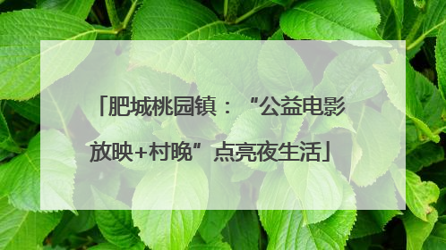 肥城桃园镇：“公益电影放映+村晚”点亮夜生活