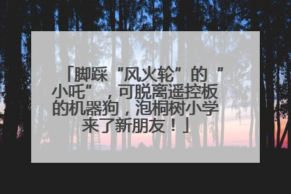 脚踩“风火轮”的“小吒”，可脱离遥控板的机器狗，泡桐树小学来了新朋友！