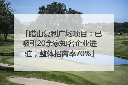 腊山复利广场项目：已吸引20余家知名企业进驻，整体招商率70%