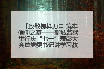 致敬榜样力量 筑牢信仰之基——聊城监狱举行庆“七一”表彰大会暨党委书记讲学习教育专题党课