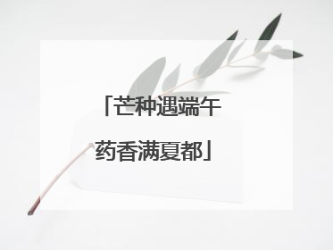 芒种遇端午 药香满夏都