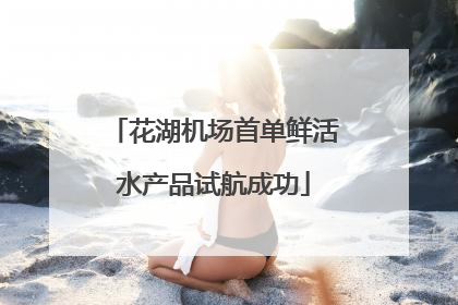 花湖机场首单鲜活水产品试航成功