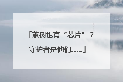 茶树也有“芯片”？守护者是他们……