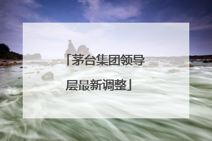 茅台集团领导层最新调整