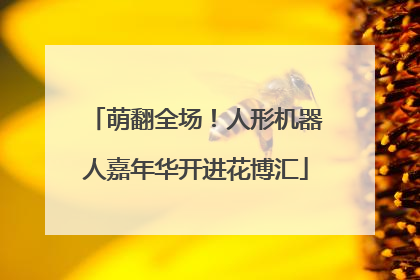 萌翻全场！人形机器人嘉年华开进花博汇