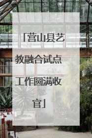 营山县艺教融合试点工作圆满收官