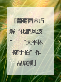 葡萄园内巧解“化肥风波”｜“天平杯·随手拍”作品展播