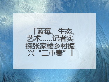 蓝莓、生态、艺术……记者实探张家楼乡村振兴“三重奏”