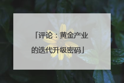 评论：黄金产业的迭代升级密码