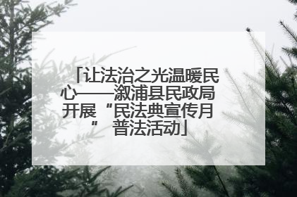 让法治之光温暖民心——溆浦县民政局开展“民法典宣传月” 普法活动