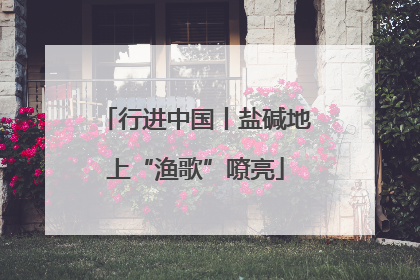 行进中国丨盐碱地上“渔歌”嘹亮
