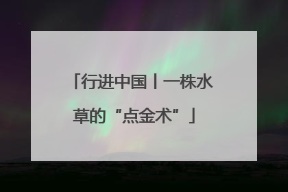 行进中国丨一株水草的“点金术”