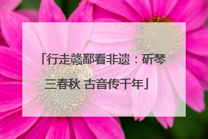 行走赣鄱看非遗：斫琴三春秋 古音传千年