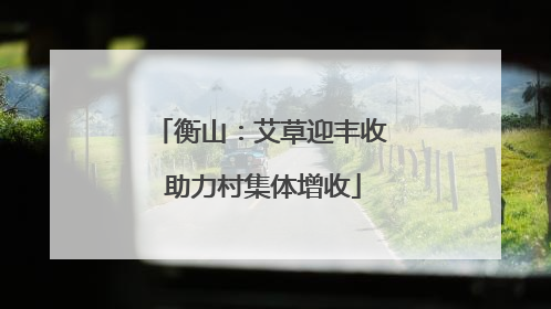 衡山：艾草迎丰收 助力村集体增收