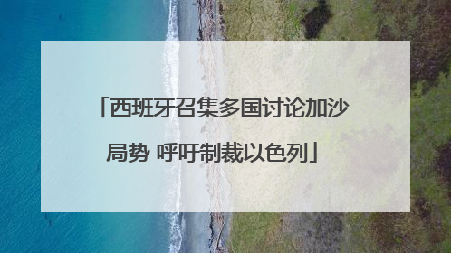 西班牙召集多国讨论加沙局势 呼吁制裁以色列
