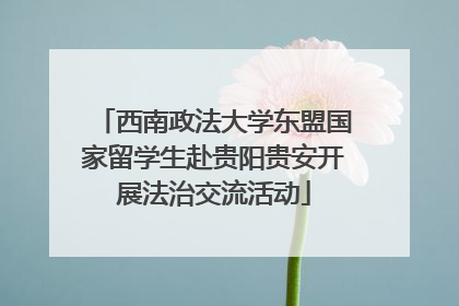西南政法大学东盟国家留学生赴贵阳贵安开展法治交流活动