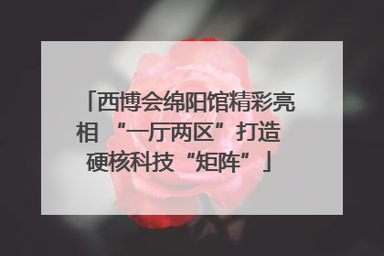 西博会绵阳馆精彩亮相 “一厅两区”打造硬核科技“矩阵”