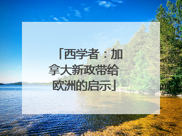 西学者：加拿大新政带给欧洲的启示