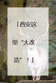 西安这里“大改造”！
