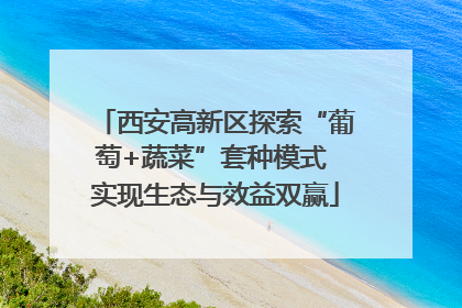 西安高新区探索“葡萄+蔬菜”套种模式 实现生态与效益双赢