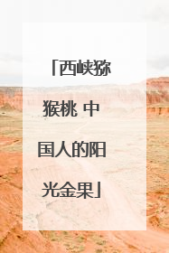 西峡猕猴桃 中国人的阳光金果