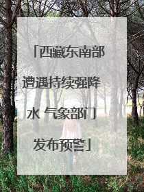 西藏东南部遭遇持续强降水 气象部门发布预警