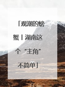观潮的螃蟹丨湖南这个“主角”不简单