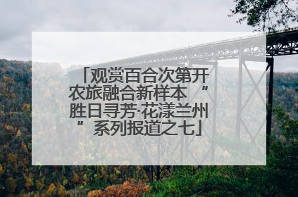 观赏百合次第开 农旅融合新样本 “胜日寻芳·花漾兰州”系列报道之七