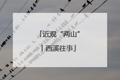 近观“两山”丨西溪往事