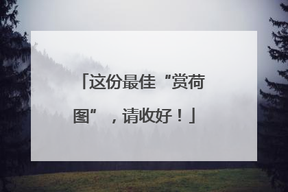 这份最佳“赏荷图”，请收好！