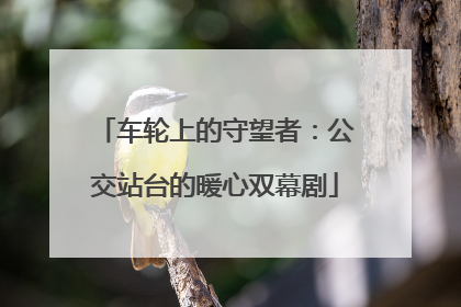 车轮上的守望者：公交站台的暖心双幕剧